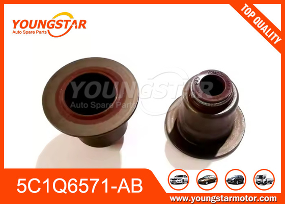 5C1Q6571-AB Vụ ăn cắp van cho Ford V348 Transit 2.4 2.2