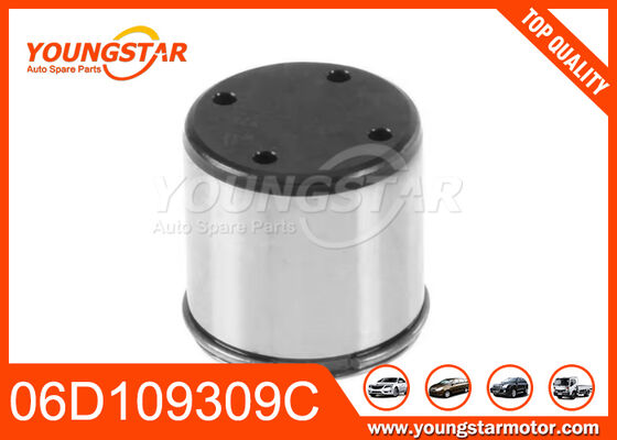 06D109309C Con đội cam bơm nhiên liệu cho V.W VW Audi A3 A4 TT 2.0T FSI GTI Golf R Jetta
