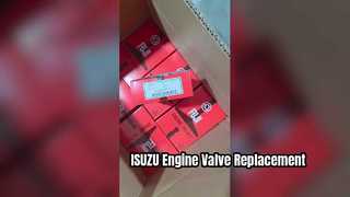 Thay thế van động cơ ISUZU 6BG1 6BD1 0114 0279